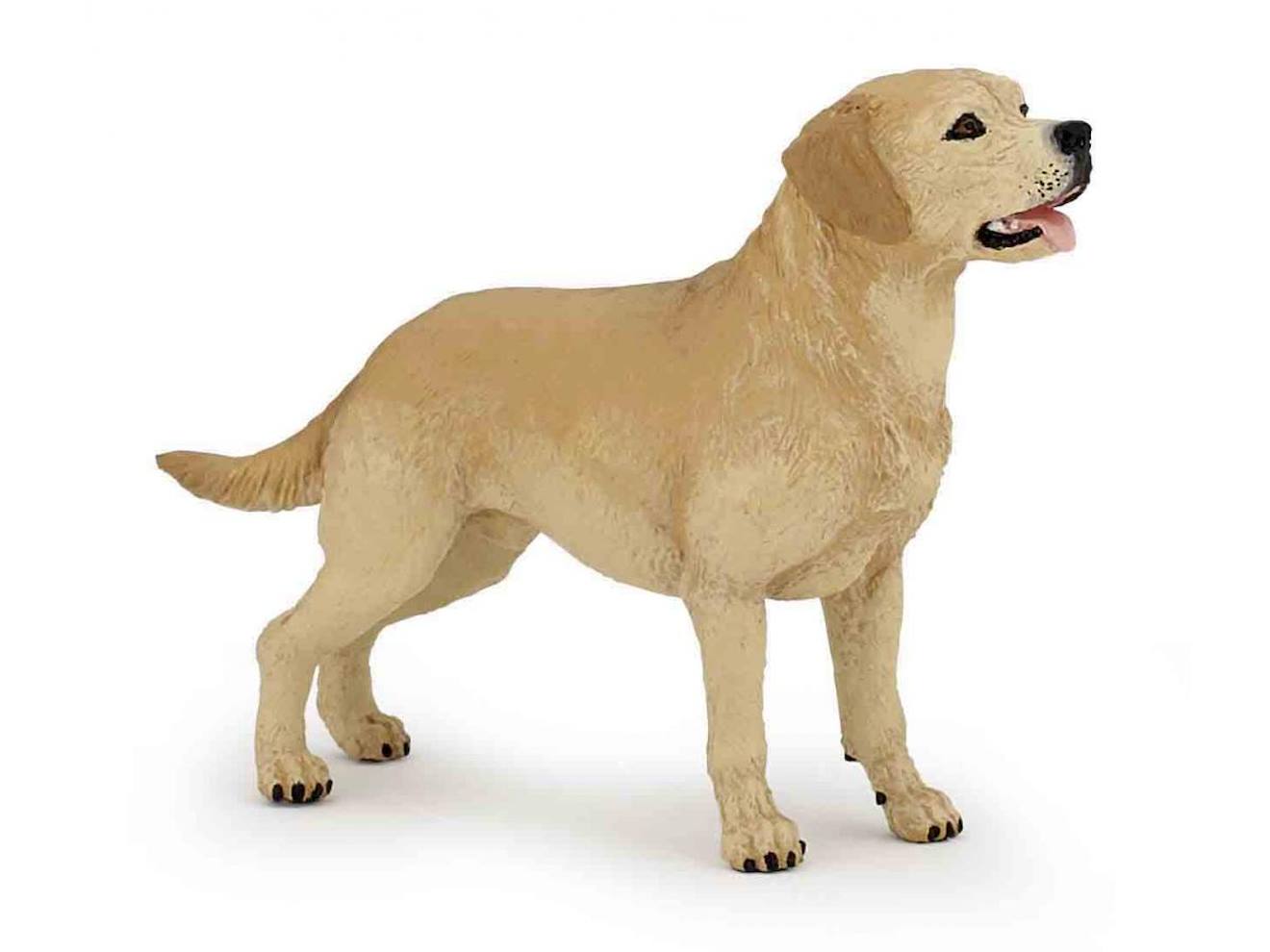 Figurine Labrador Beige
