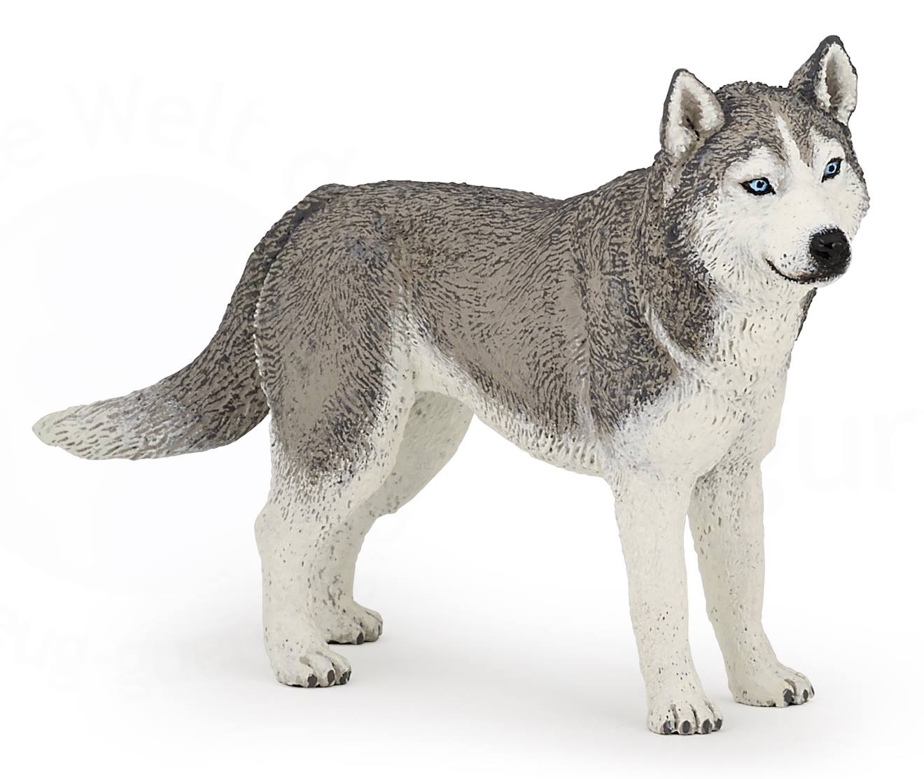 Figurine Husky De Sibérie Gris