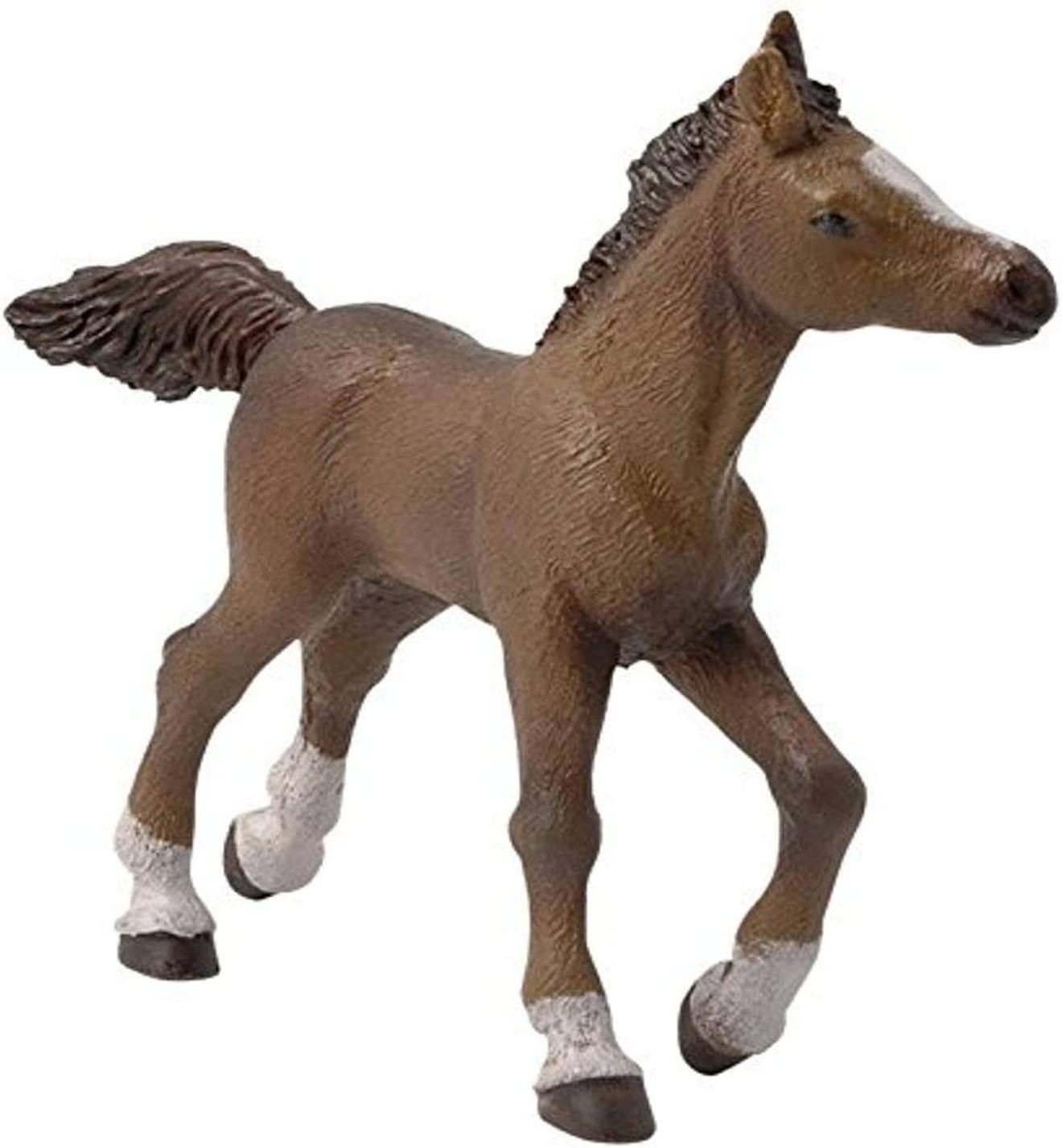 Figurine Poulain Anglo Arabe Marron