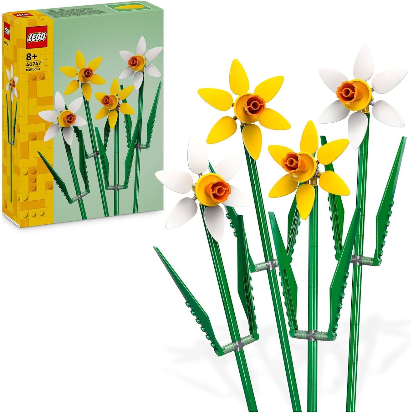 Les Jonquilles 40747 Multicolore