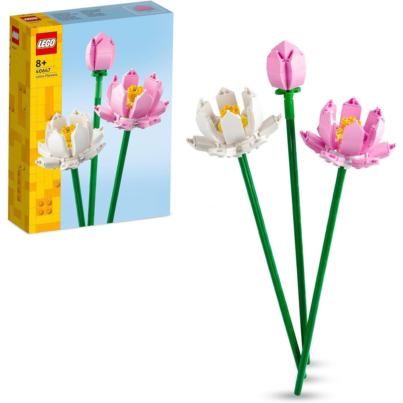 Les Fleurs De Lotus 40647 Multicolore