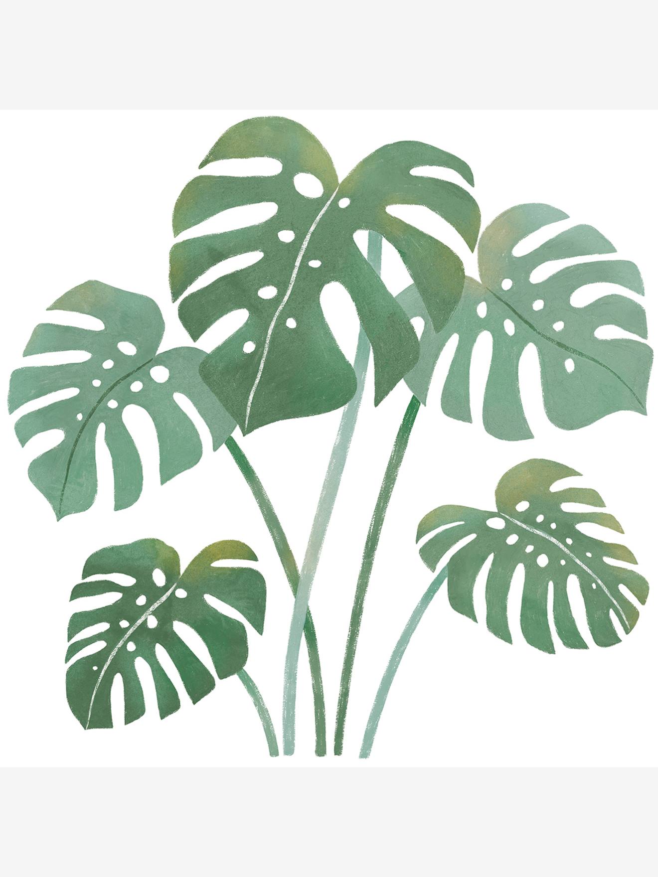 Stickers feuille Monstera YATSUNI vert (Lilipinso) - Image 1