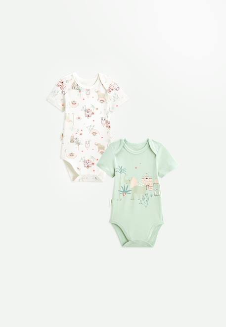 Bébé-Lot de 2 bodies bébé manches courtes arya