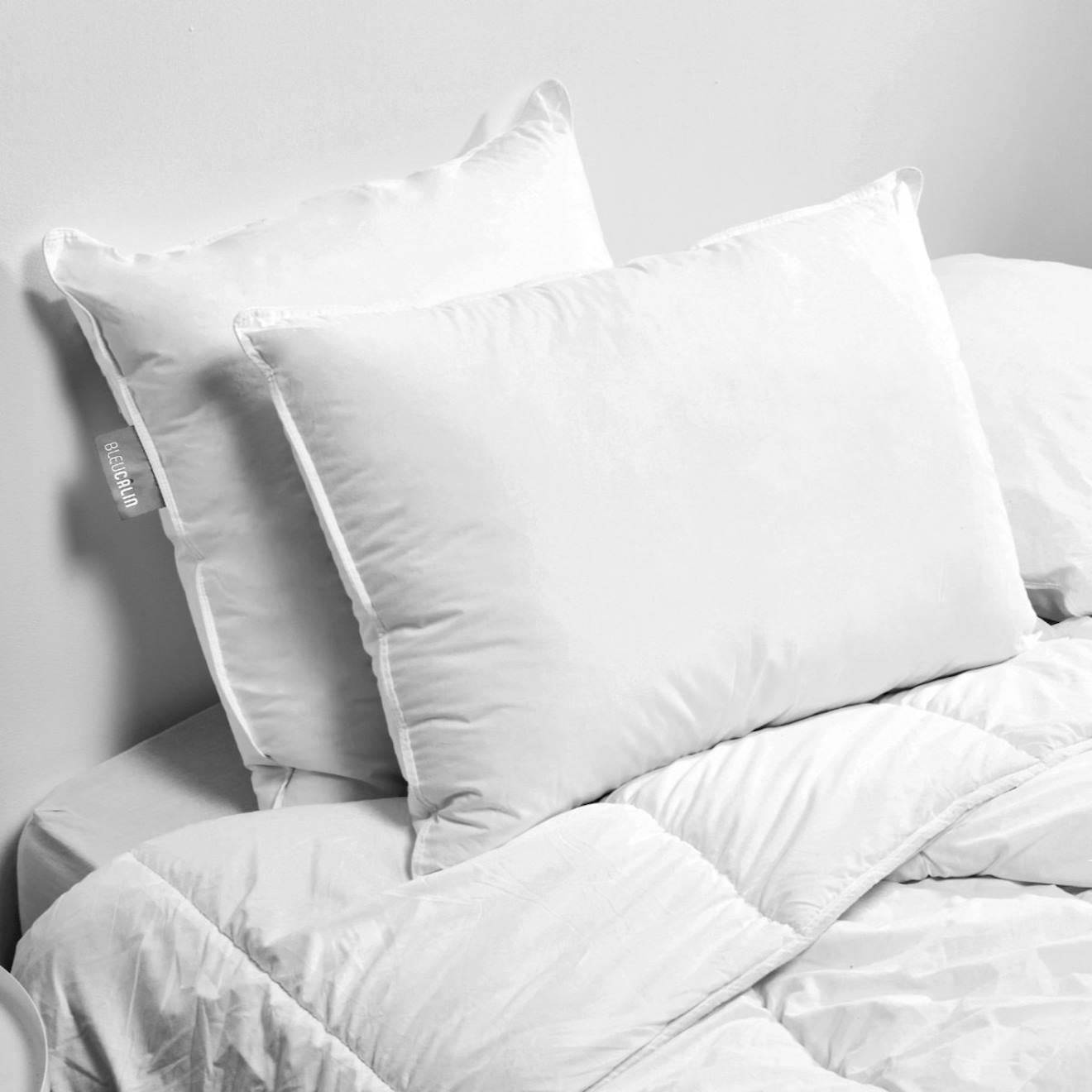 Oreiller souple gonflant sensation duvet blanc