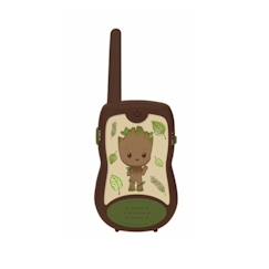 -Talkies-walkies groot portée 200m