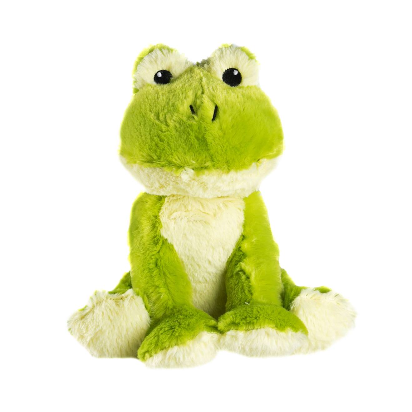 Bouillotte Grenouille Vert