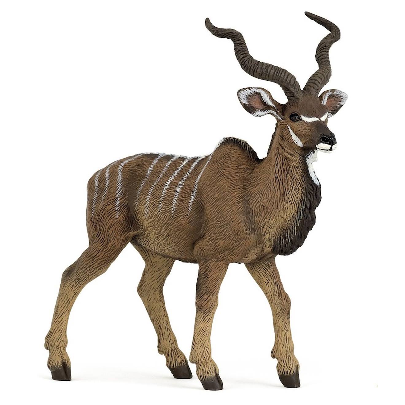 Antilope Koudou Marron
