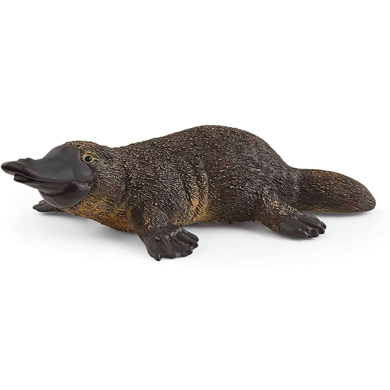 Wild Life Ornithorynque Marron