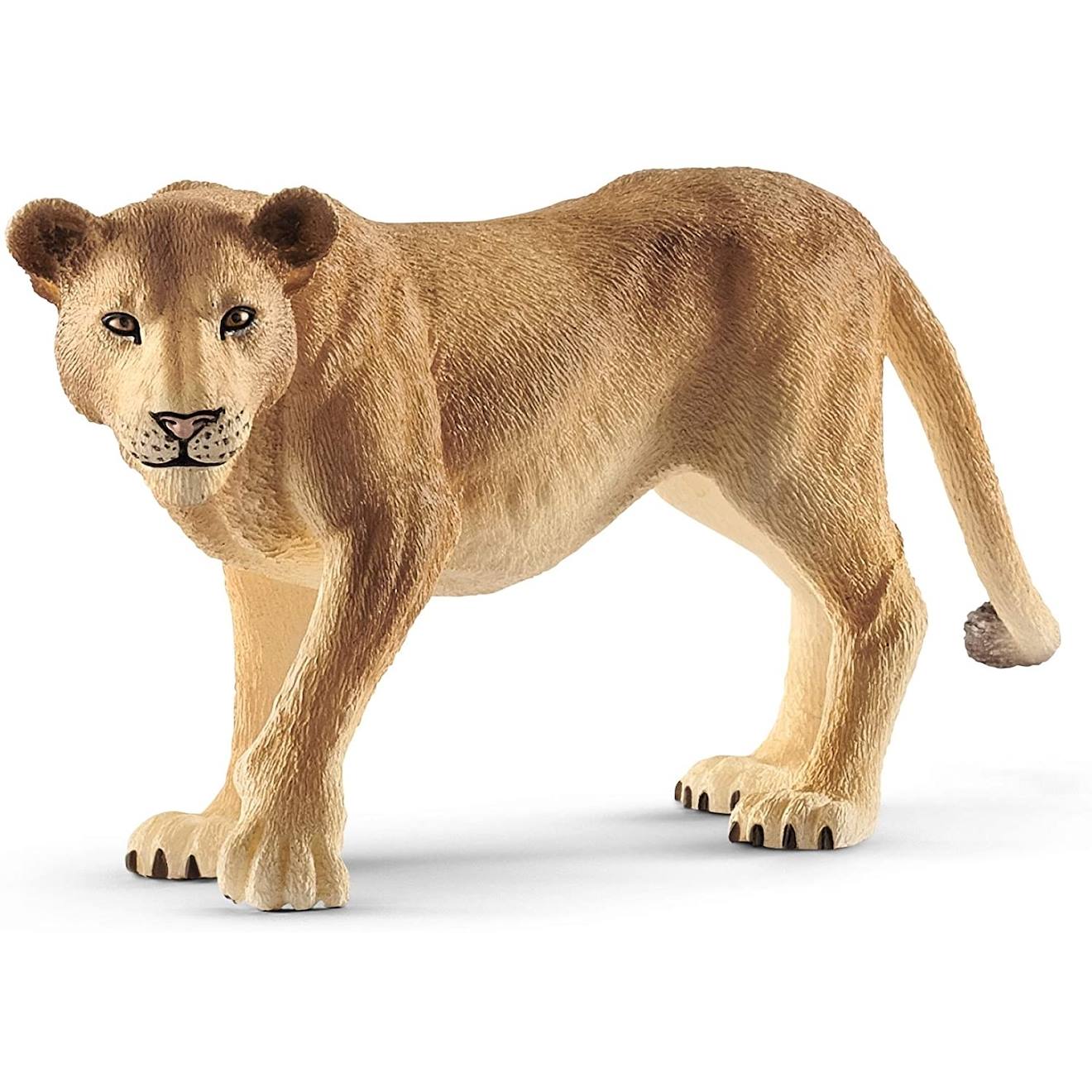 Wild Life Lionne Vert