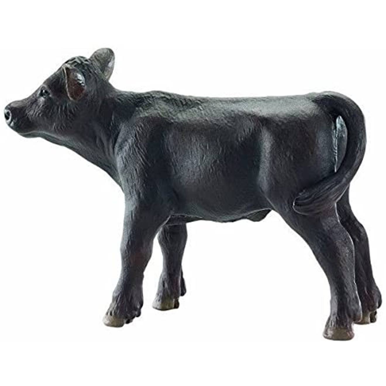 Veau Angus Noir