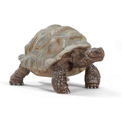 -Tortue géante