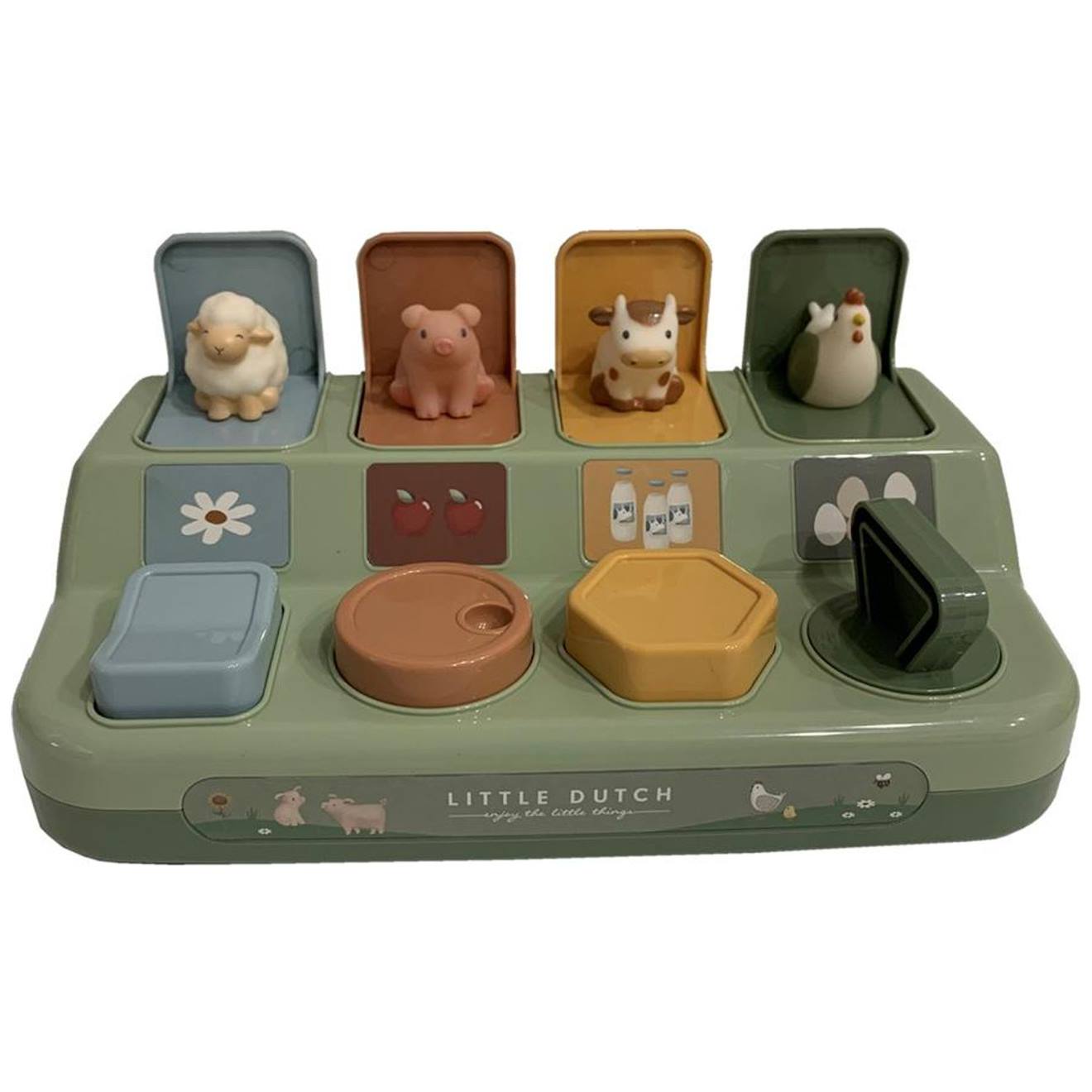 Popup Animaux Multicolore