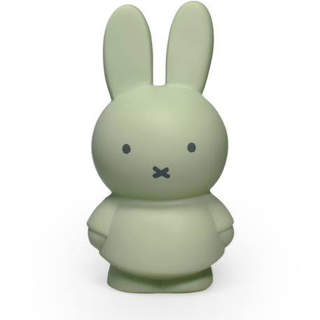 Atelier Pierre Junior - Tirelire Miffy Vert, Noir