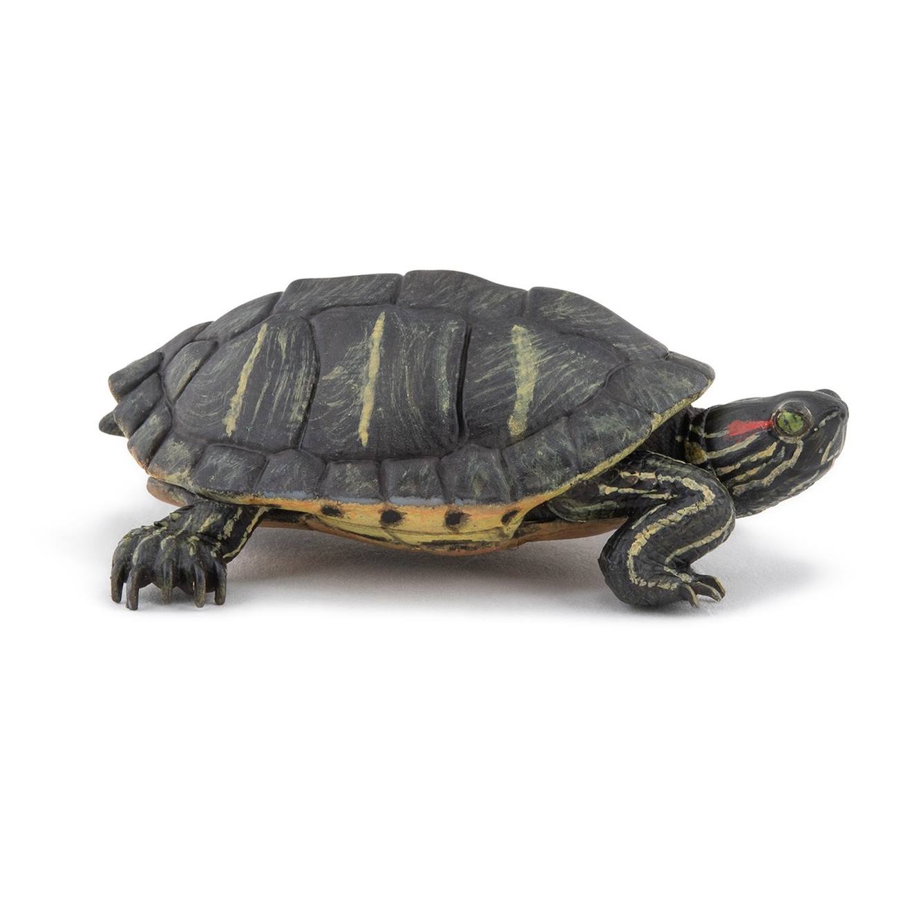 Figurine Tortue De Floride Vert