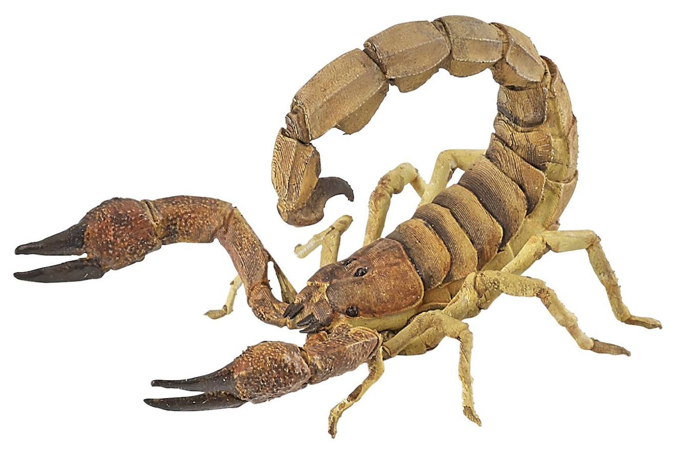 Figurine Scorpion Marron