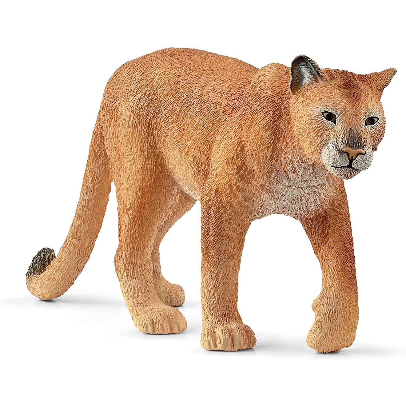 Wild Life Puma Marron
