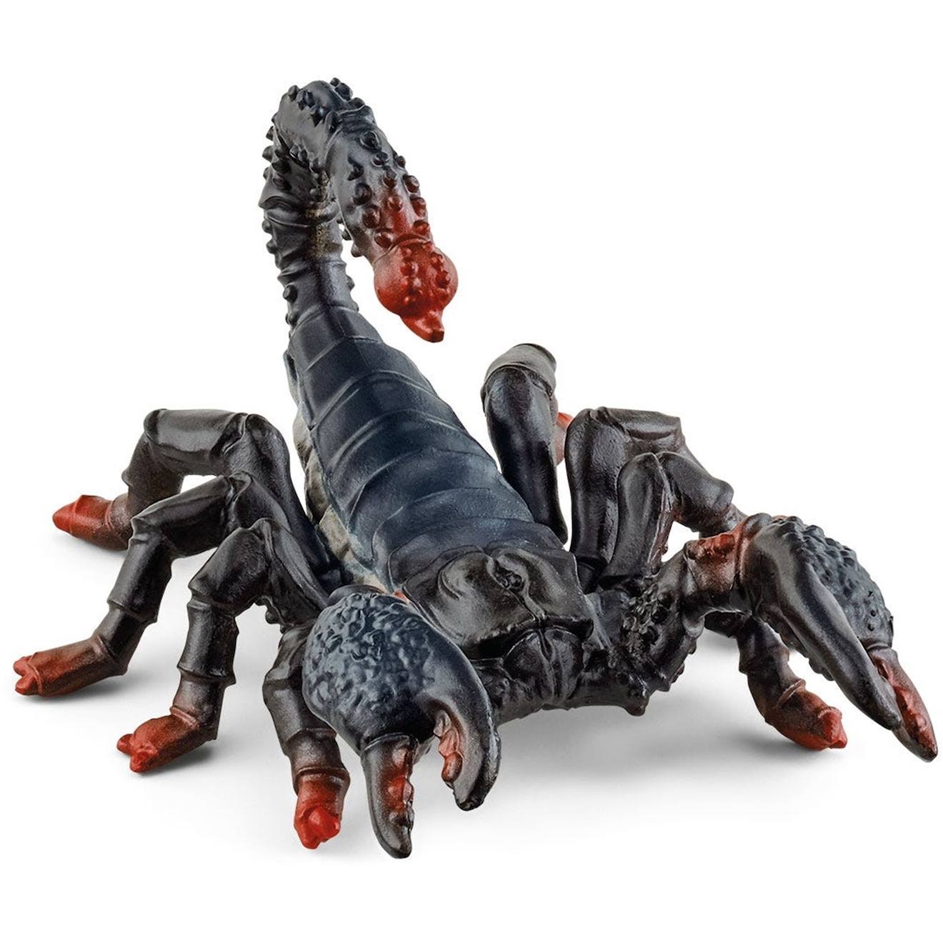 Wild Life Scorpion Empereur Noir
