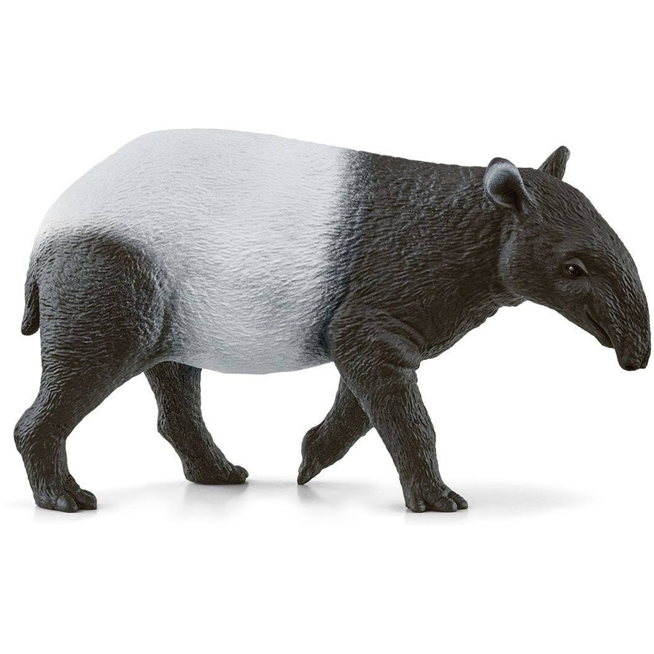 Wild Life Tapir Noir Et Blanc