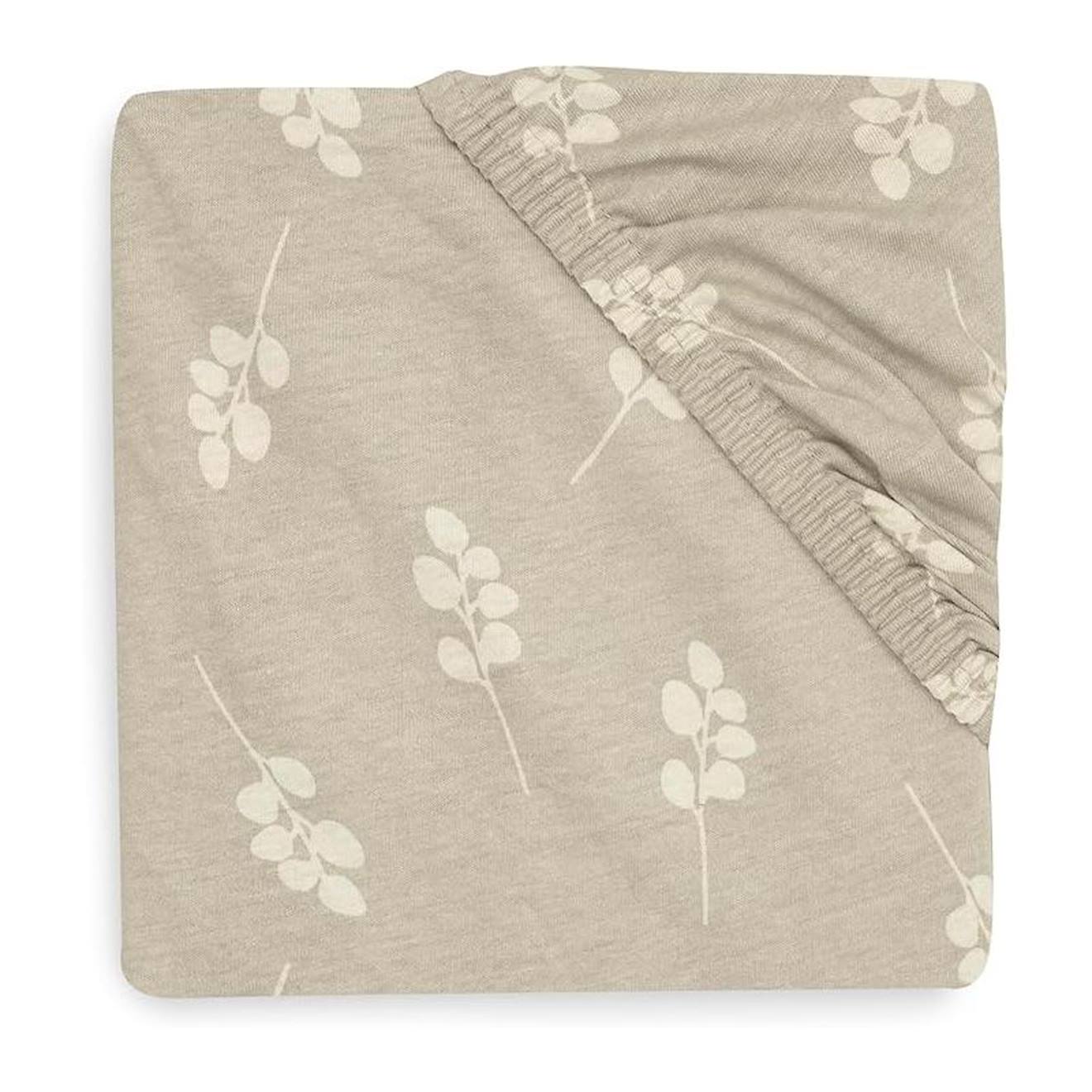 Drap Housse Jersey En Coton Vert