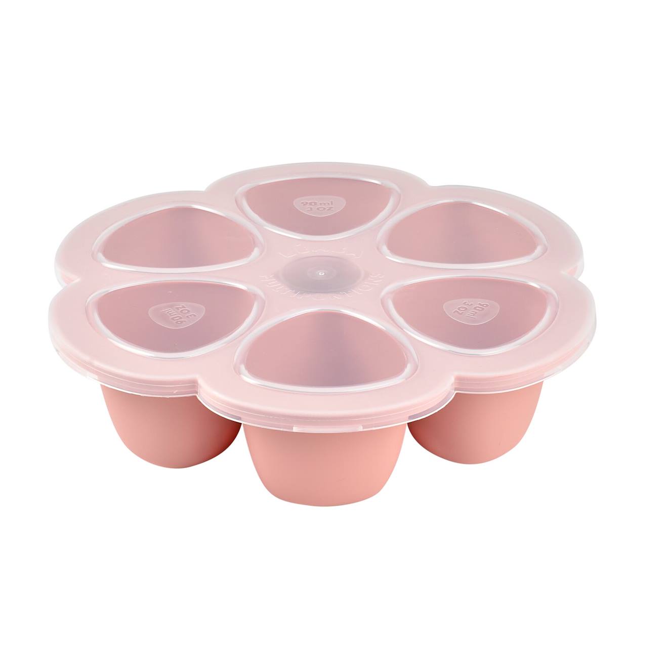Moule multiportions silicone 6x90ml rose