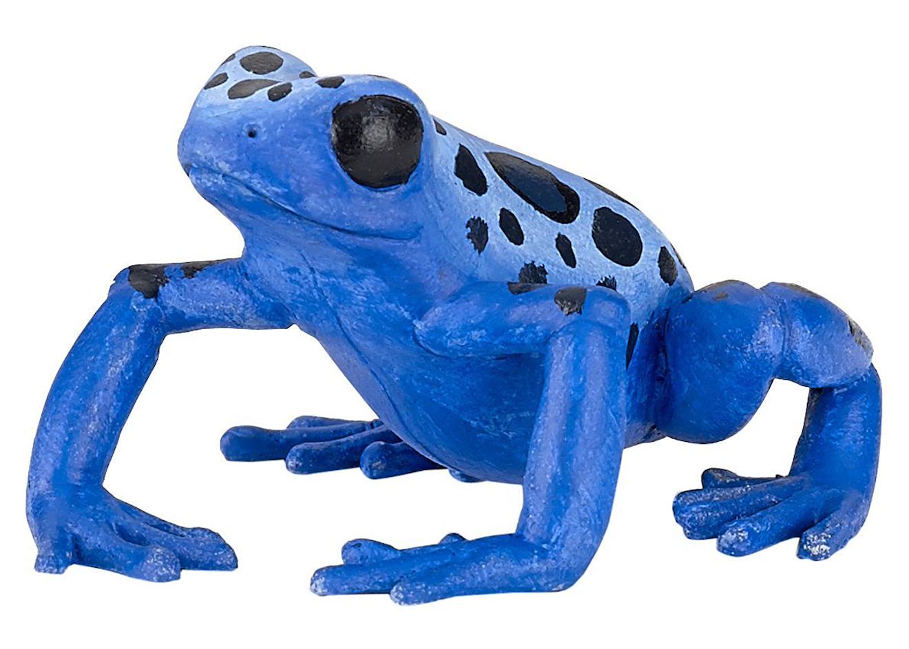 Figurine Grenouille Équatoriale Bleue Bleu