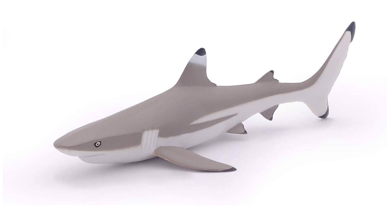 Figurine Requin À Pointes Noires Gris