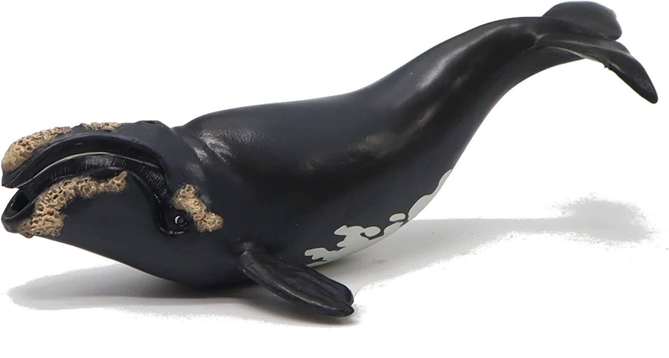 Figurine Jeune Baleine Franche Noir