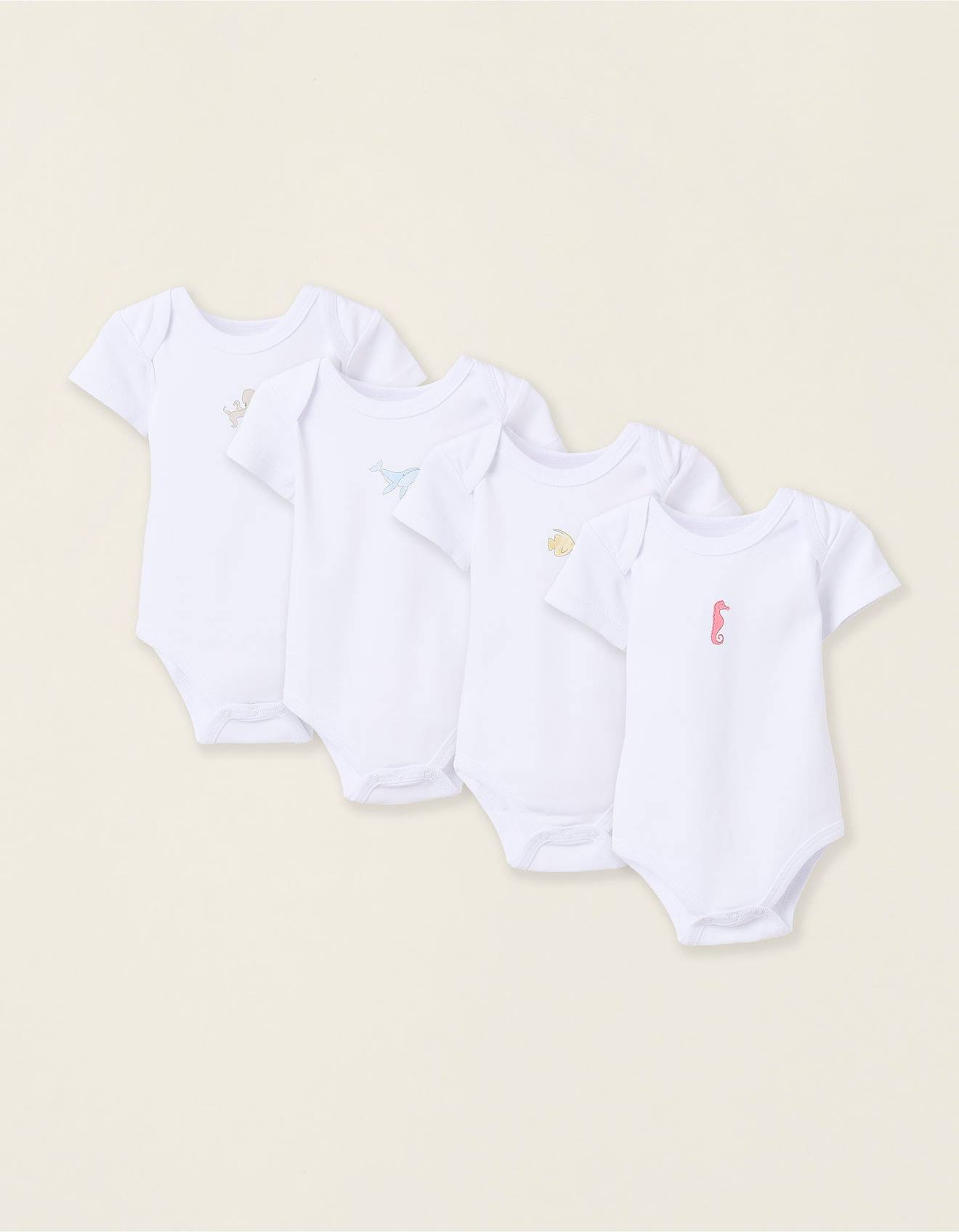 Pack 4 Bodies De Coton Blanc