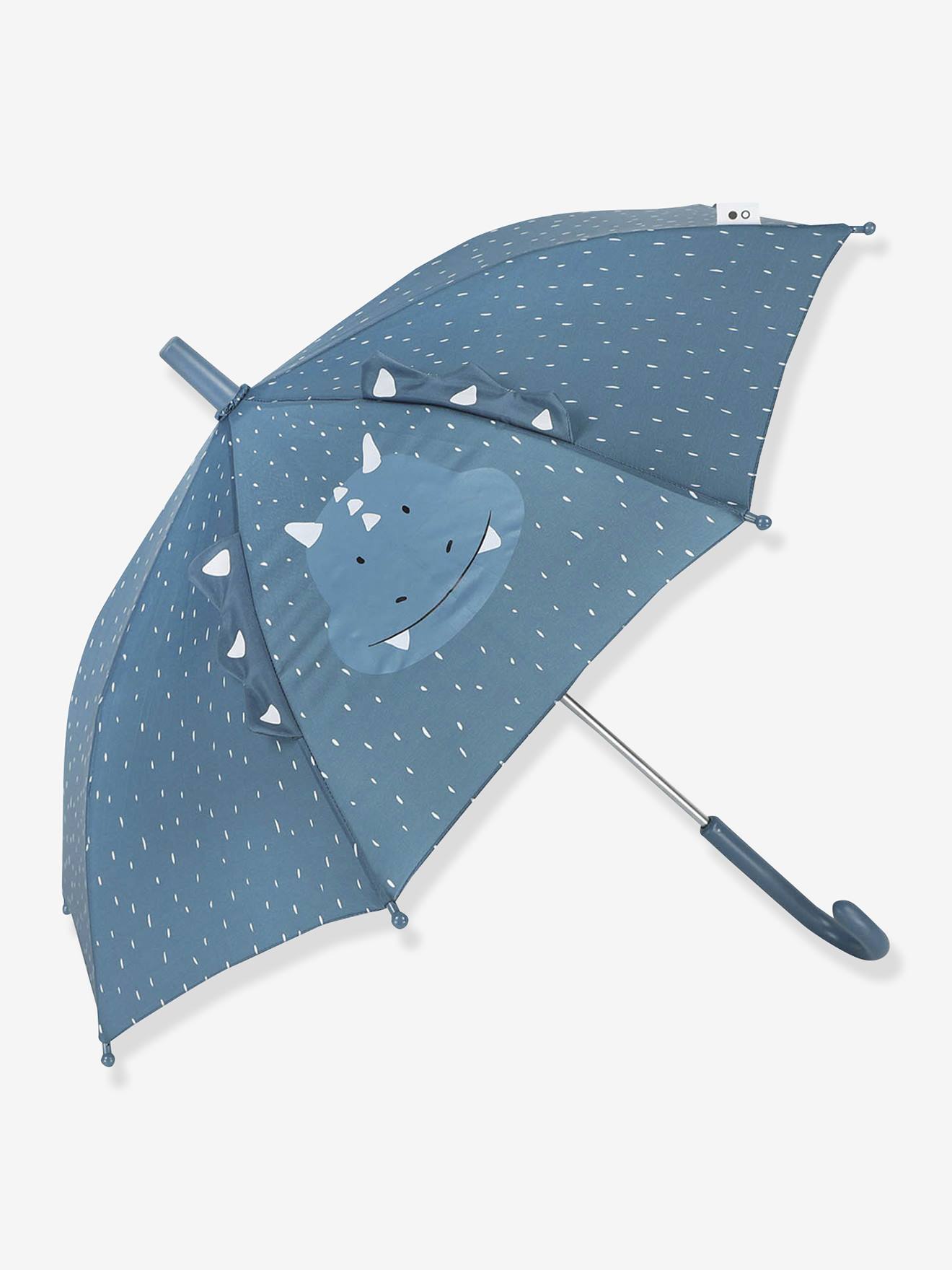 Parapluie bleu