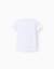 Pack 2 t-shirts unis en coton Blanc+Bleu foncé+Rouge 2 - vertbaudet enfant 