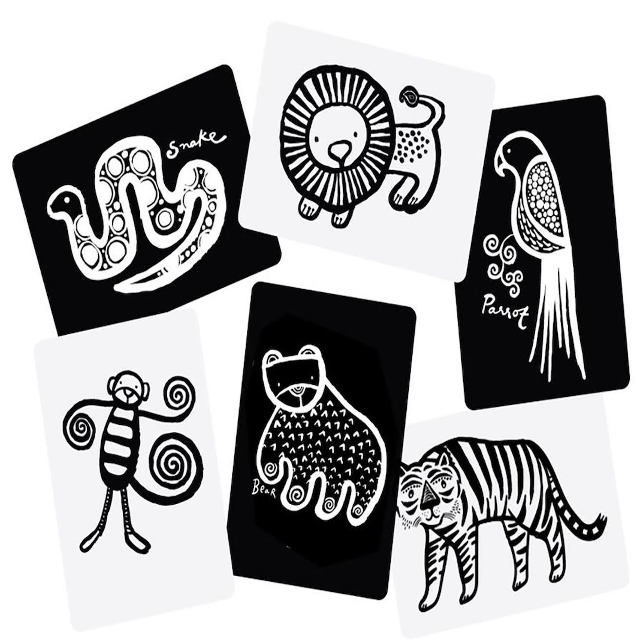 Boîte De 6 Cartes Imagier En Noir Et Blanc - Jungle Multi-coloured (Wee Gallery) - Image 1