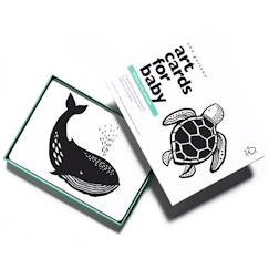 Jouet-Jeux de société-Boîte de 6 cartes imagier en noir et blanc - océan