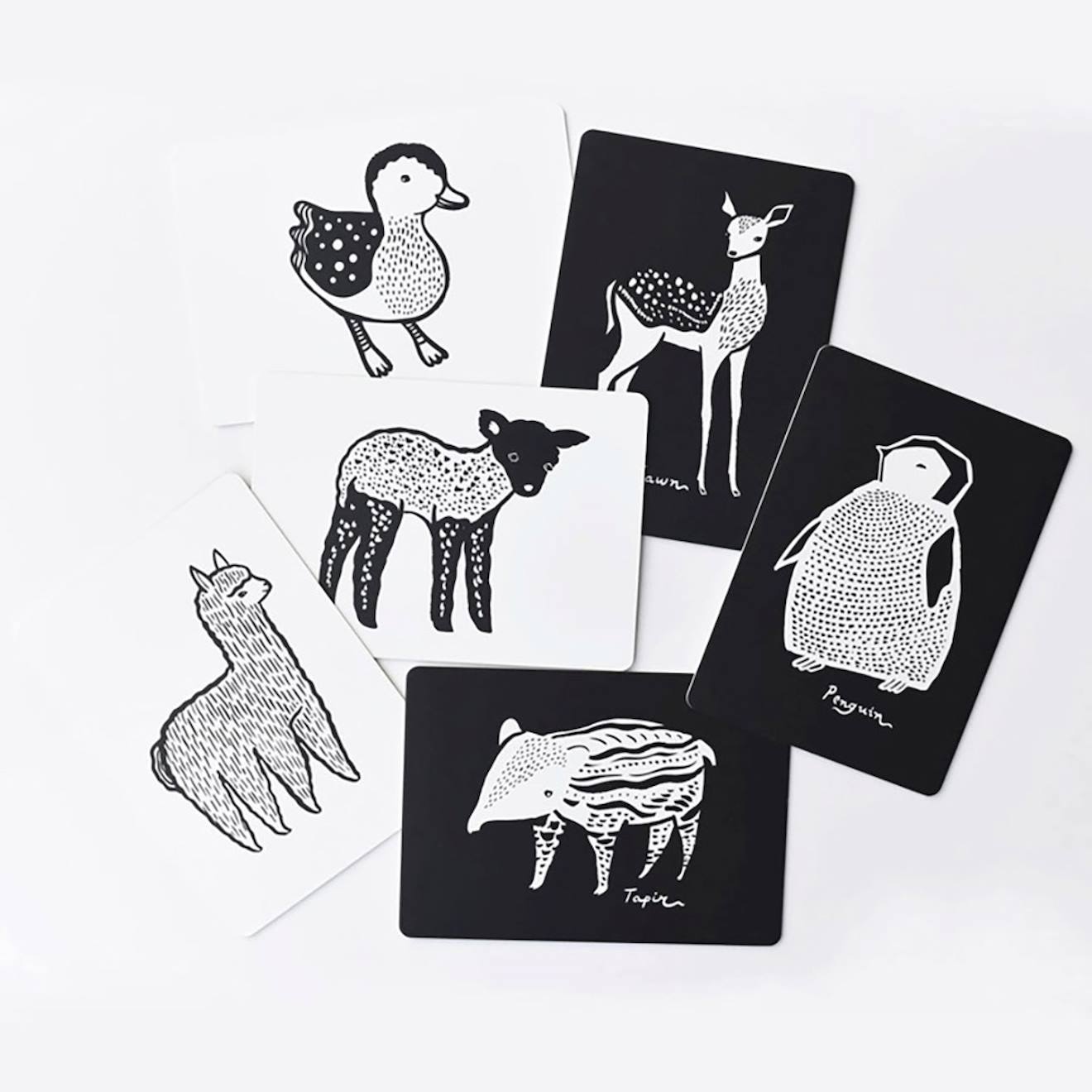 Boîte De 6 Cartes Imagier En Noir Et Blanc - Bébé Animaux Multi-coloured (Wee Gallery) - Image 1