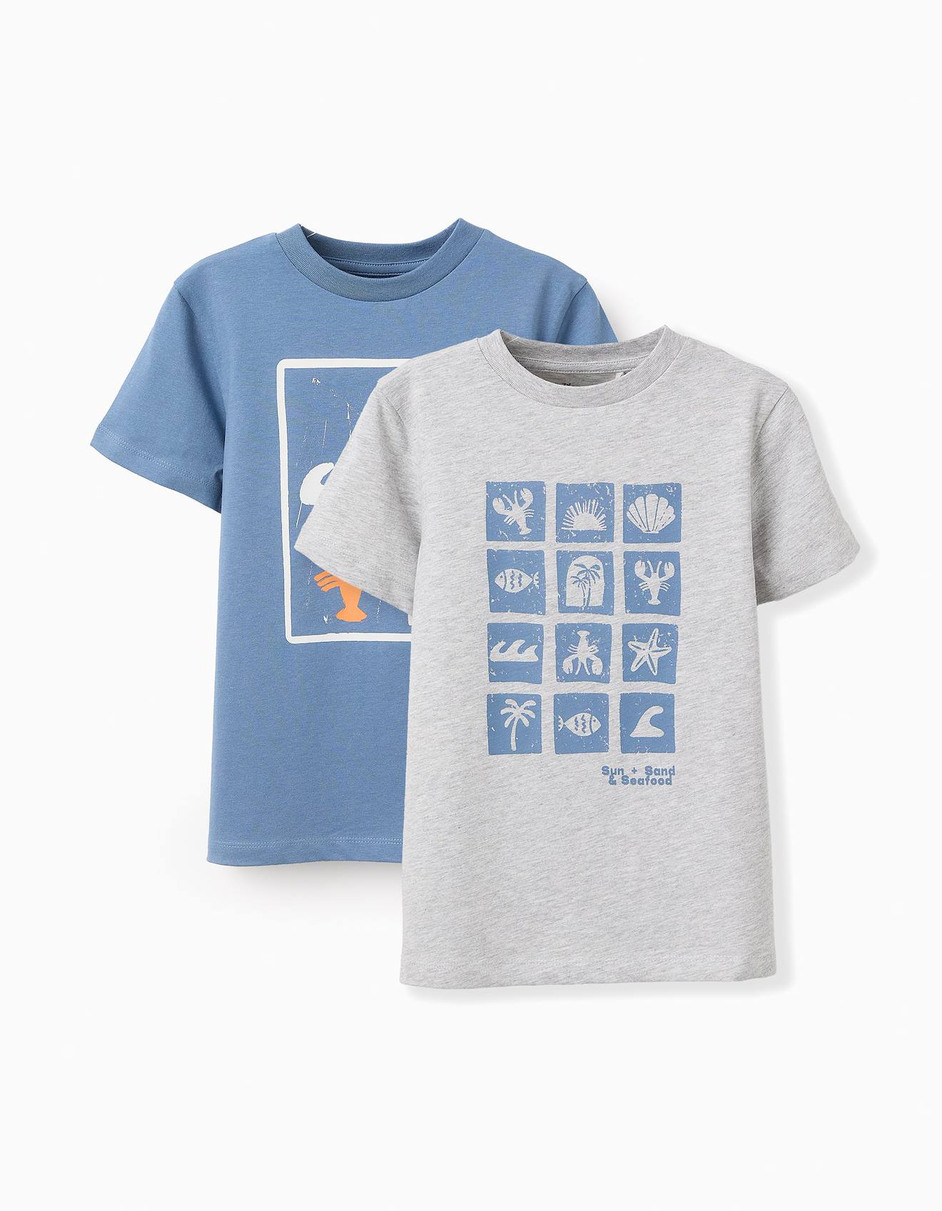 Pack 2 T-shirts En Coton Bleu