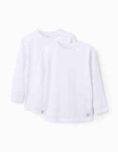 Lot de 2 t-shirts en coton à manches longues  - vertbaudet enfant