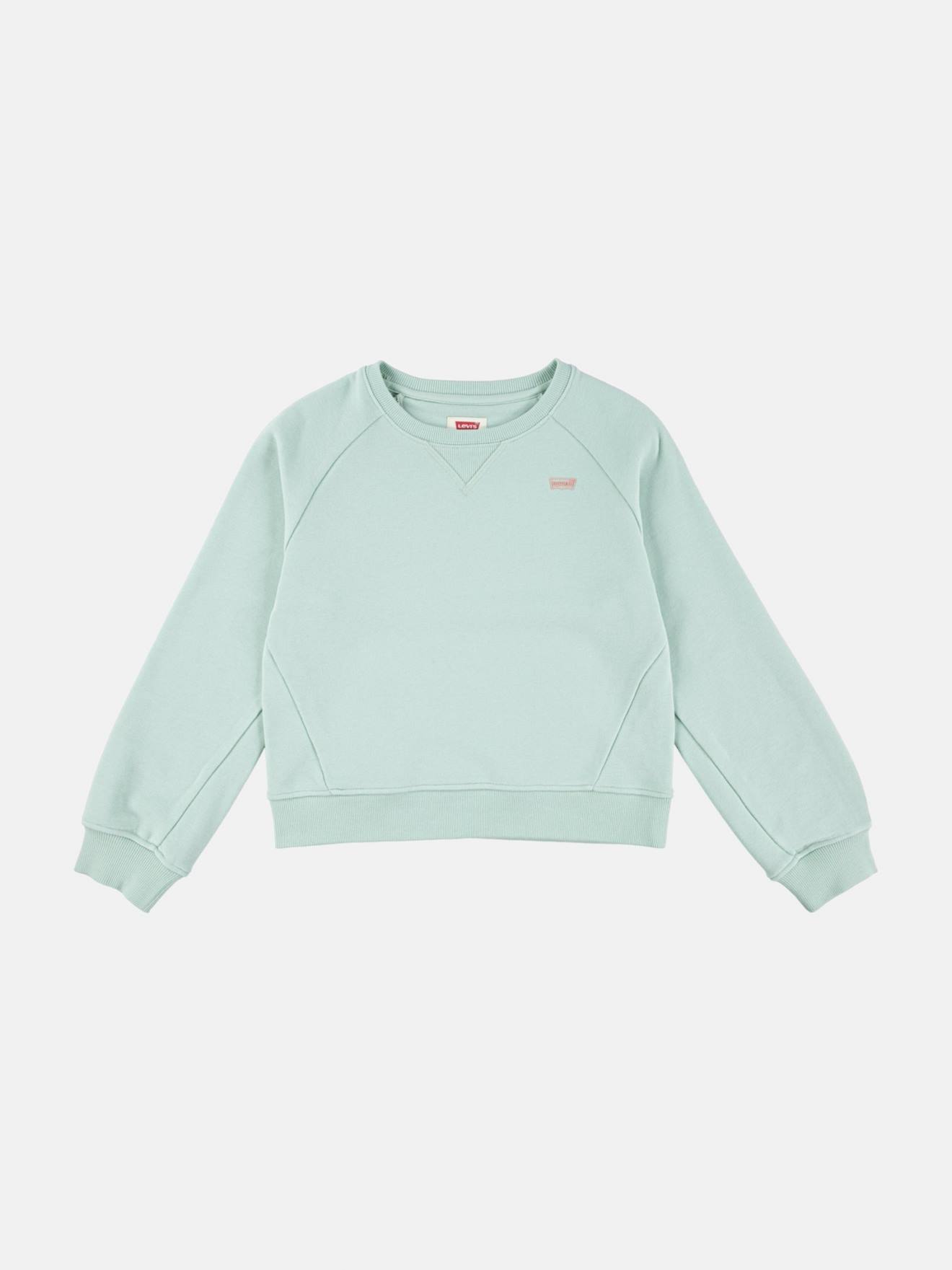 Sweat Batwing Vert Clair