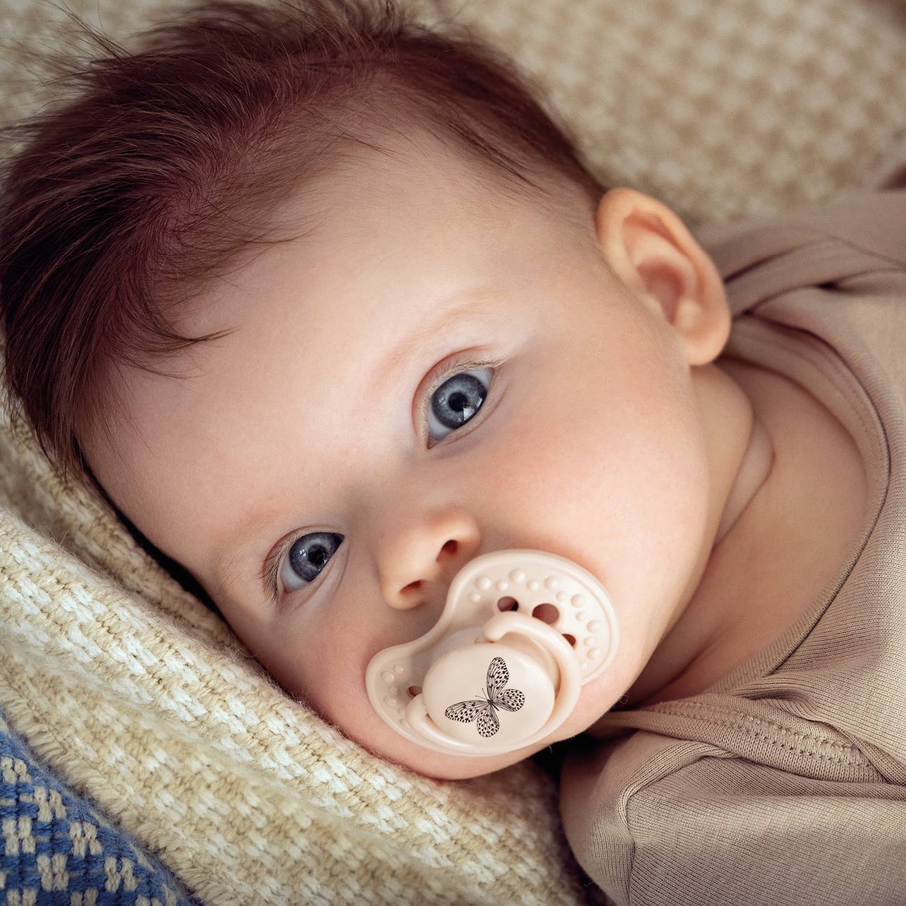 Lot De 2 Sucettes Dynamique Lovi Botanic Rose (Difrax) - Image 1