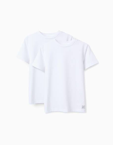 Pack 2 t-shirts en coton  - vertbaudet enfant