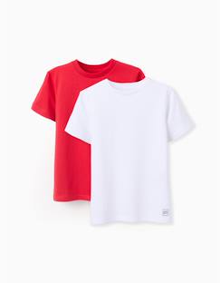 Pack 2 t-shirts en coton  - vertbaudet enfant