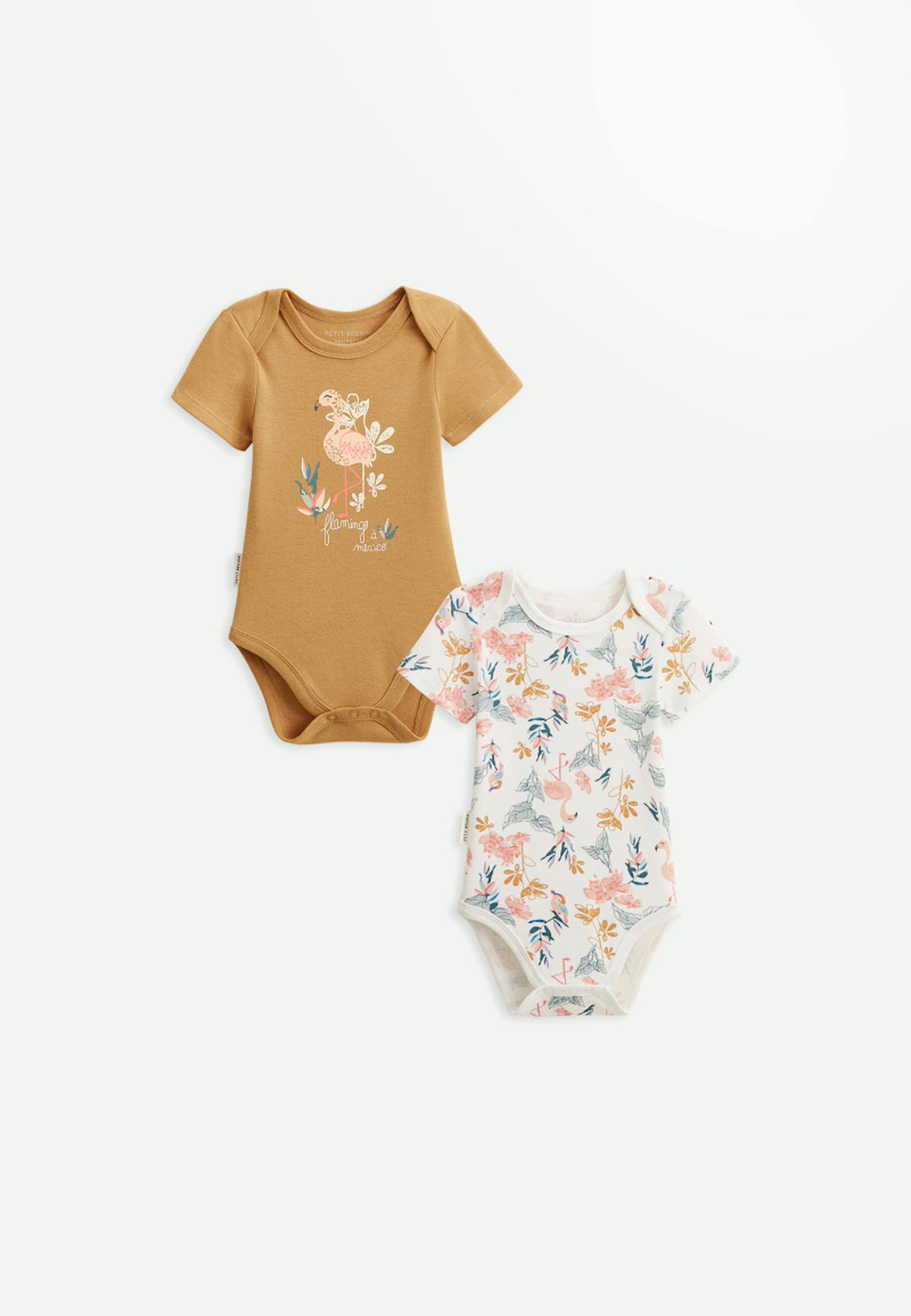 Lot De 2 Bodies Bébé Manches Courtes Flamingo Ocre