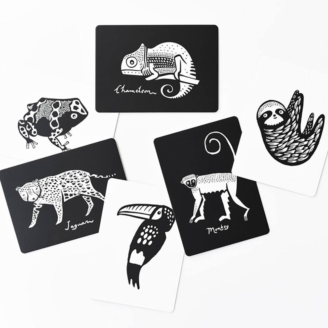 Boîte De 6 Cartes Imagier En Noir Et Blanc - Forêt Tropicale Multi-coloured (Wee Gallery) - Image 1
