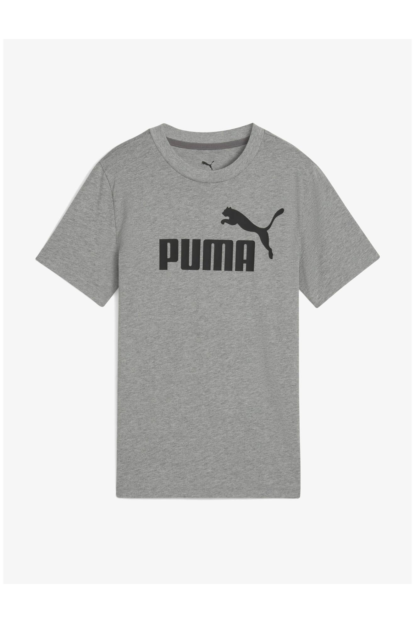 T-shirt Manches Courtes Gris
