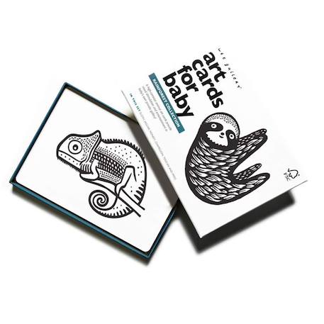 Wee Gallery - Boîte De 6 Cartes Imagier En Noir Et Blanc - Forêt Tropicale Multi-coloured