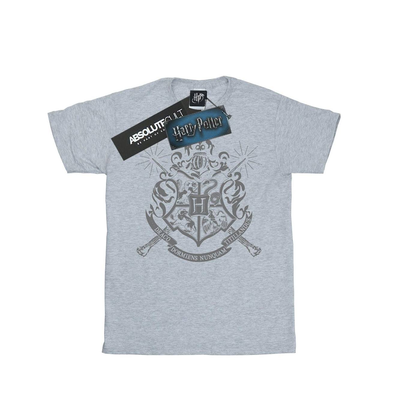 T-shirt Coton Harry Potter Gris Chiné