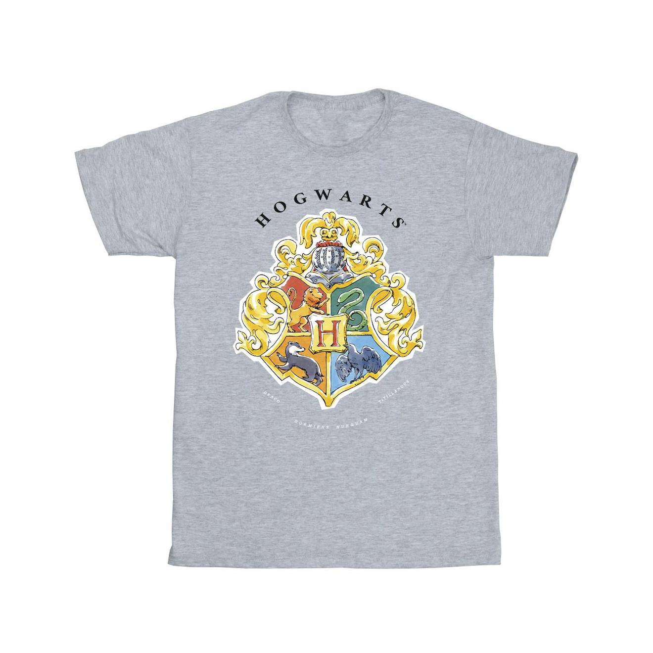 T-shirt Coton Harry Potter Hogwarts Gris Chiné