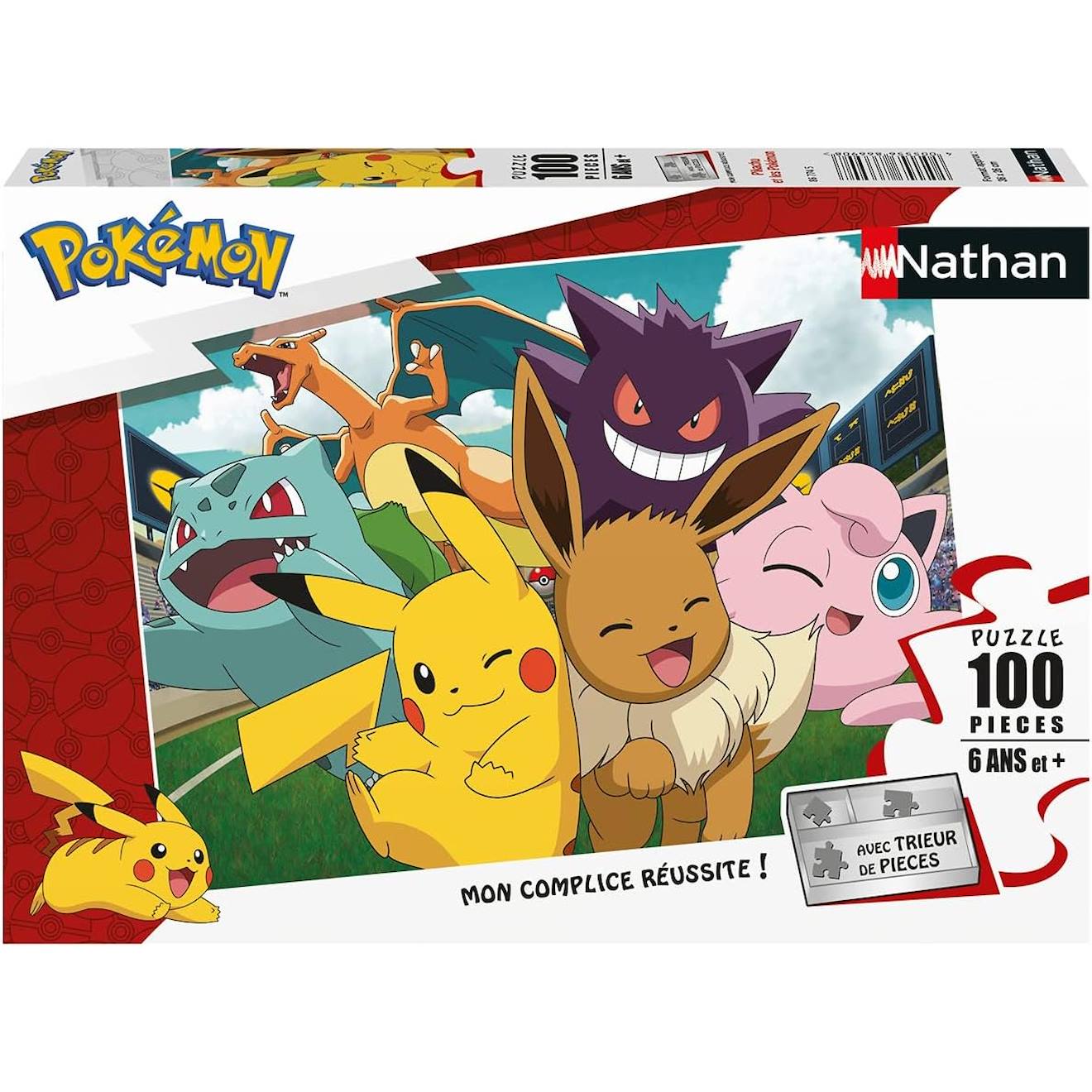 Puzzle Pikachu Et Les Pokémon 100 Pcs Blanc