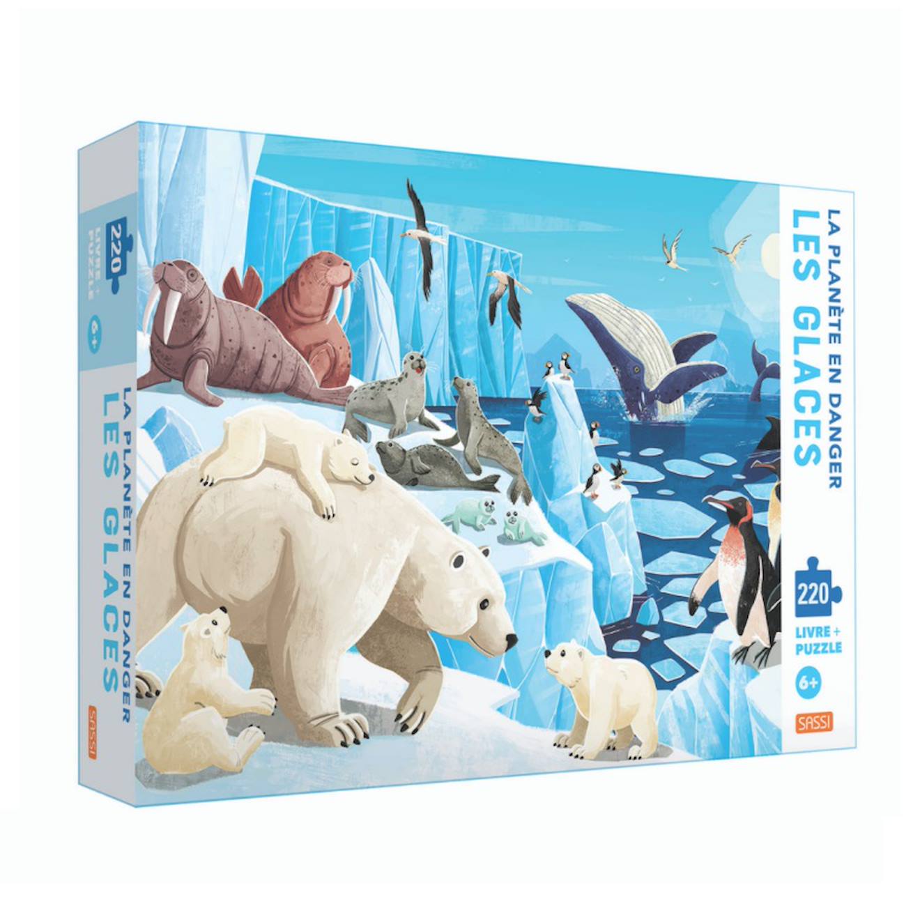 Livre Et Puzzle La Planète En Danger - Les Glaces Bleu
