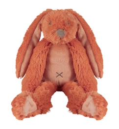Jouet-Peluche lapin richie 28 cm