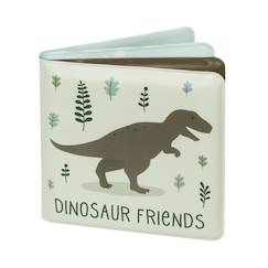 Jouet-Livre de bain pour enfant nos amis dinosaures