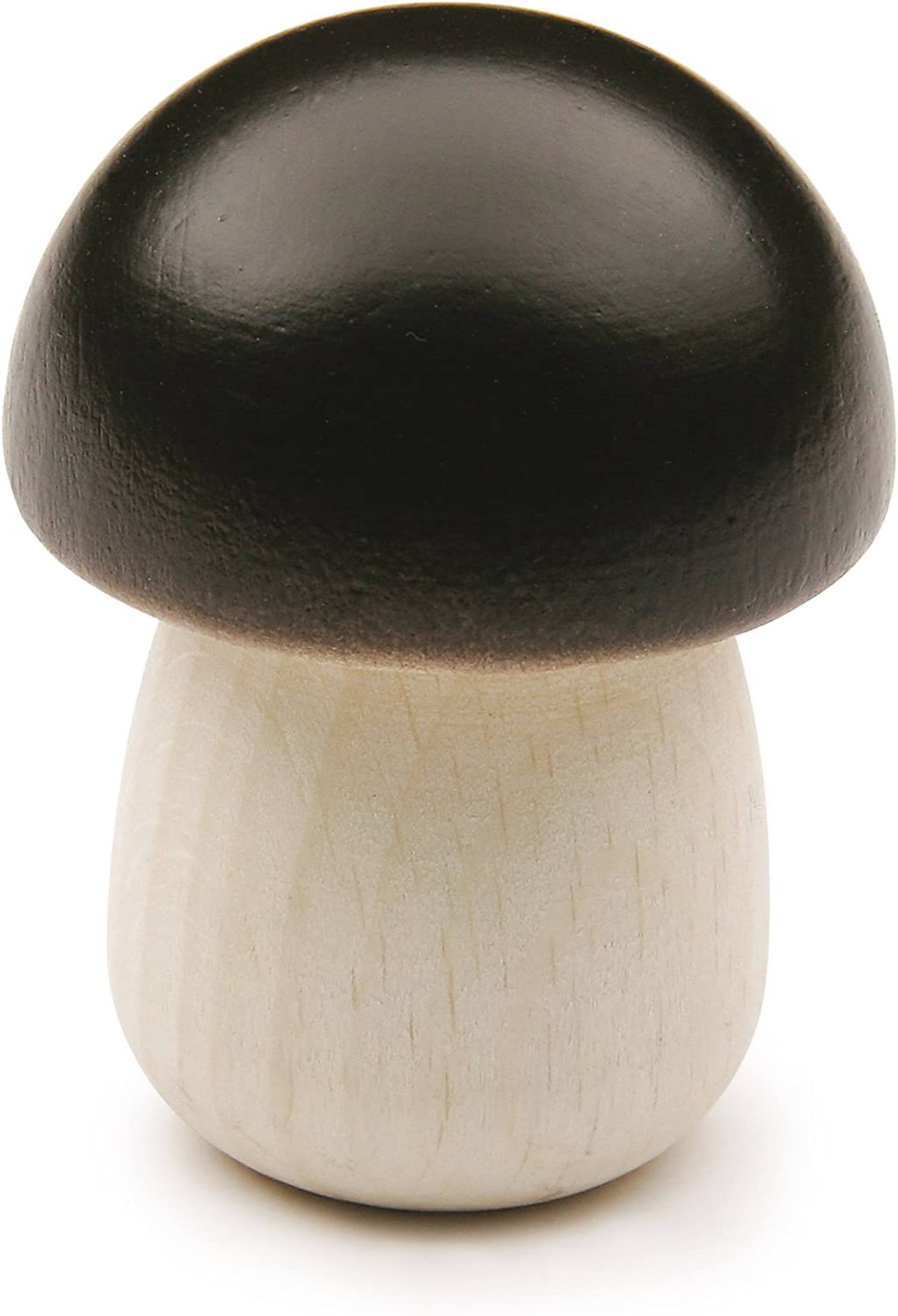 Bolet Marron
